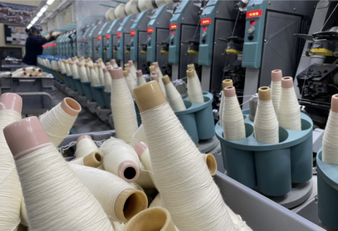 MICHELL GROUP – Alpaca Factory Outlet